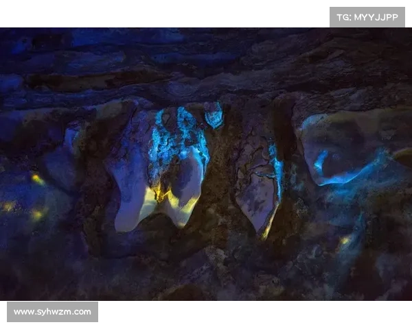 揭开古代文明遗迹中的神秘生物与超自然力量的秘密 揭开古代文明遗迹中的神秘生物与超自然力量的秘密